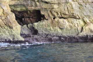 DSC_1804.JPG