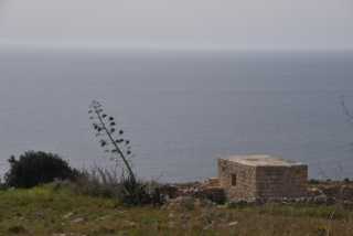 DSC_1919.JPG