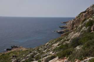 DSC_1960.JPG