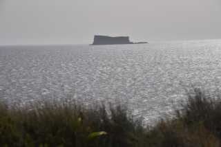 DSC_1974.JPG