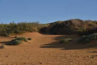 DSC_2228.JPG