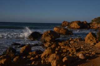 DSC_2241.JPG