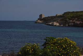 DSC_2561.JPG