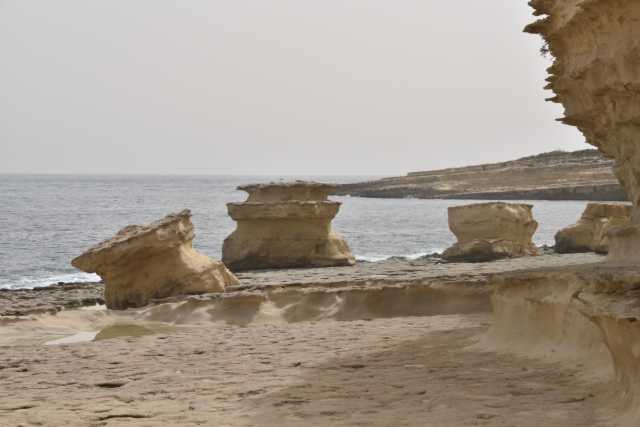 DSC_1593.JPG