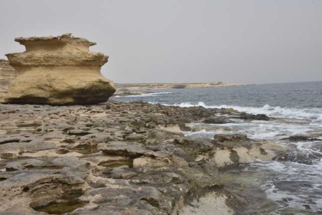DSC_1599.JPG