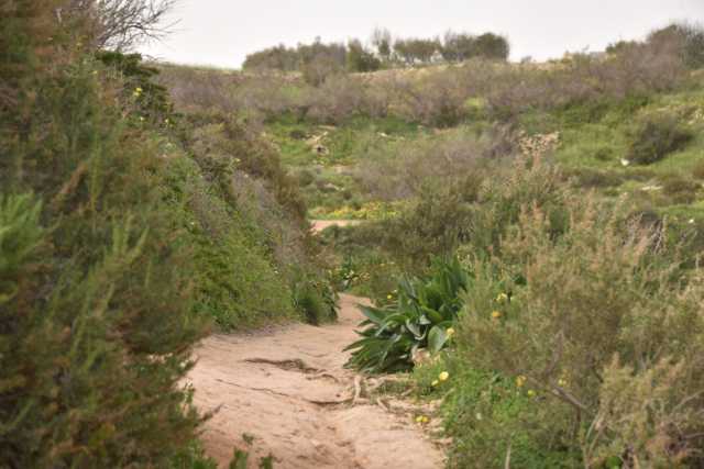 DSC_1622.JPG