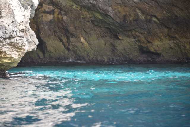 DSC_1787.JPG