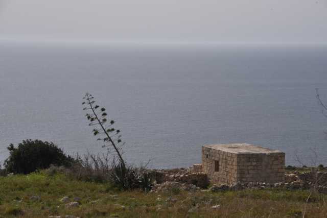 DSC_1919.JPG