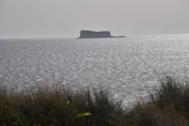 DSC_1974.JPG