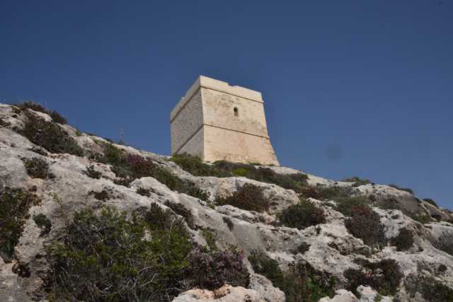 DSC_1979.JPG
