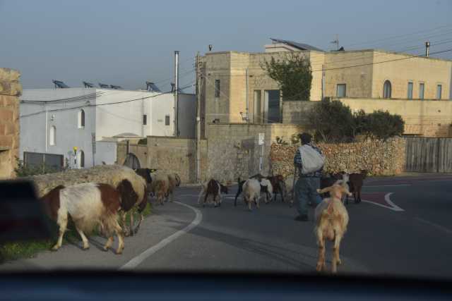 DSC_2027.JPG