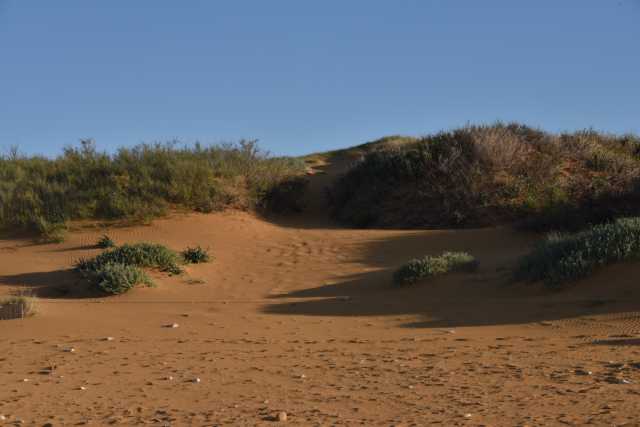 DSC_2228.JPG