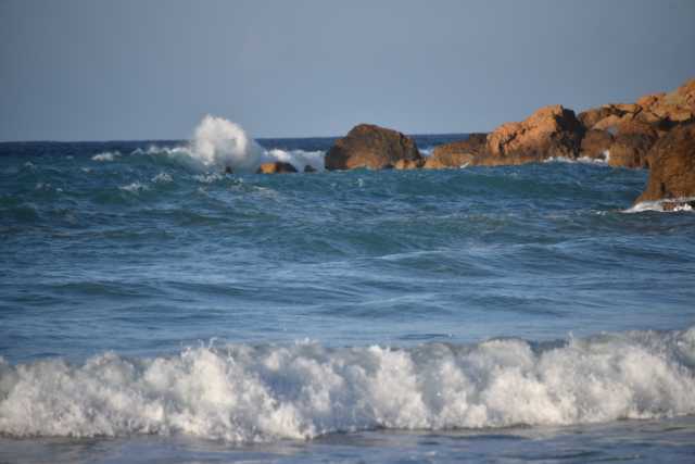 DSC_2236.JPG