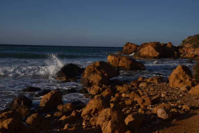 DSC_2241.JPG