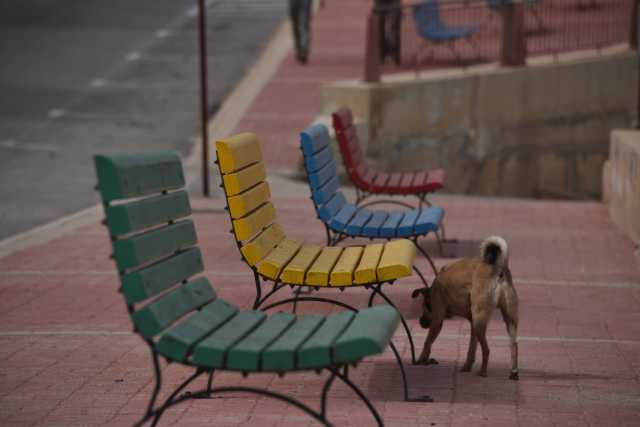 DSC_2367.JPG
