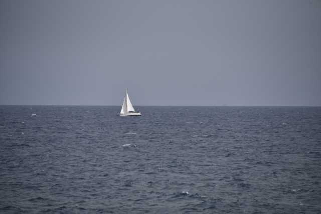 DSC_2384.JPG