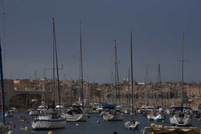DSC_2412.JPG