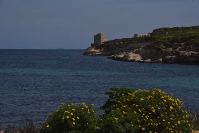 DSC_2561.JPG