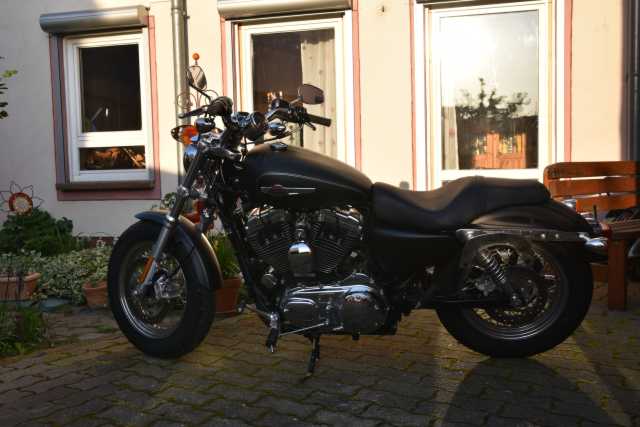 DSC_2953.JPG