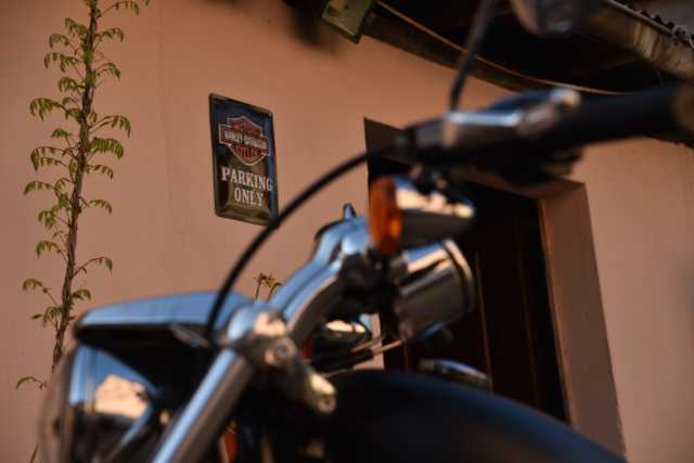 DSC_2987.JPG