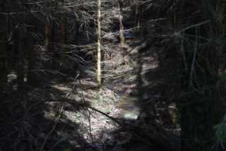 DSC_2617.JPG