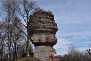 DSC_2646.JPG