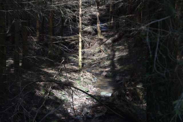 DSC_2617.JPG