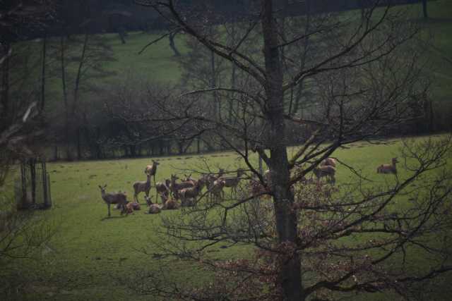 DSC_2621.JPG