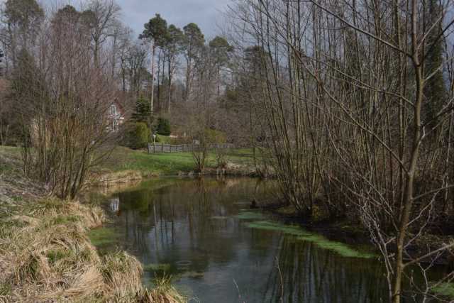 DSC_2630.JPG