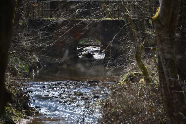 DSC_2635.JPG