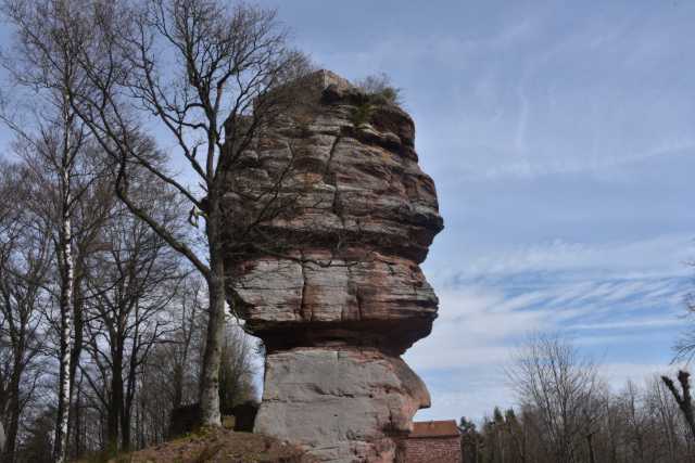DSC_2646.JPG