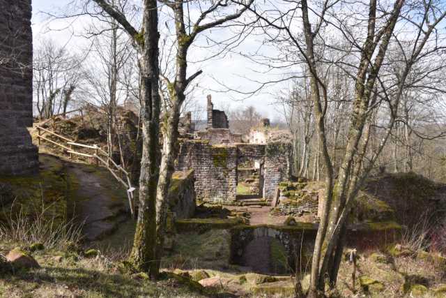 DSC_2703.JPG