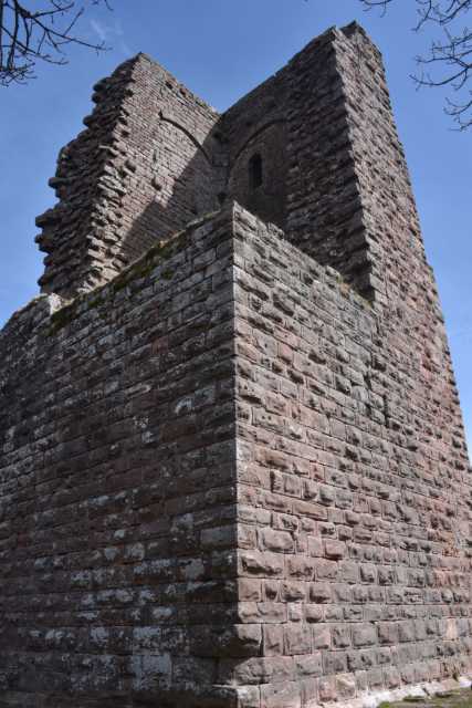 DSC_2704.JPG