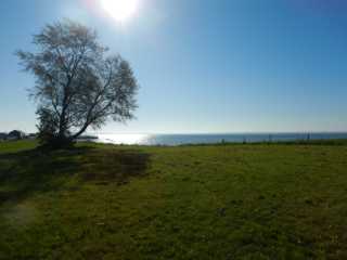 DSCN0947.JPG
