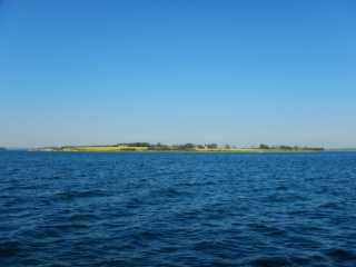 DSCN0961.JPG