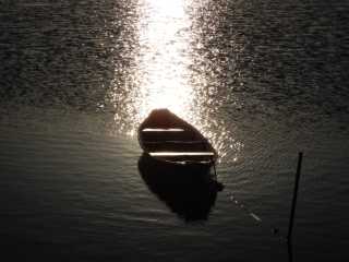 DSCN0978.JPG