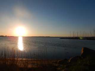 DSCN0985.JPG