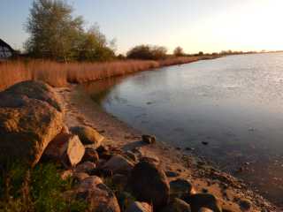 DSCN0990.JPG