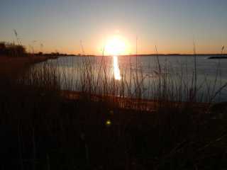 DSCN0992.JPG