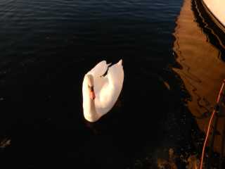 DSCN1087.JPG