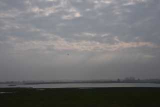 DSC_3112.JPG