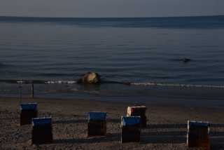 DSC_3170.JPG