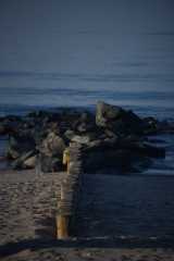 DSC_3179.JPG