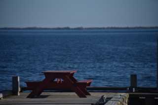 DSC_3323.JPG