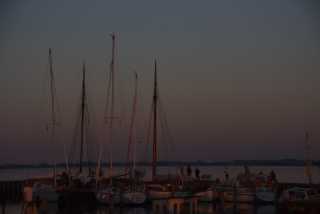DSC_3368.JPG