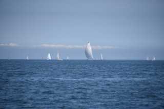 DSC_3480.JPG