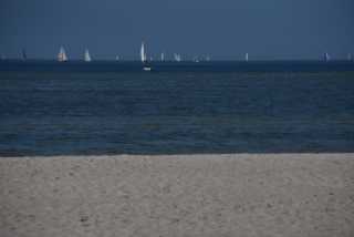 DSC_3500.JPG