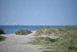 DSC_3594.JPG
