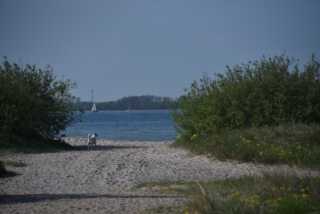 DSC_3596.JPG