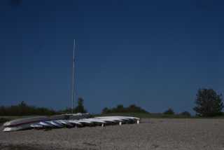 DSC_3620.JPG